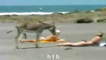 سیسیبوی ژاپنی تحت کلیپ سکسی ممه خوردن سلطه قرار می گیرد